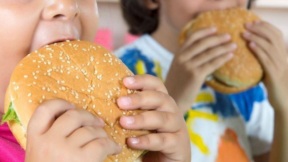 La obesidad infantil se multiplic por 10 en las ltimas cuatro dcadas