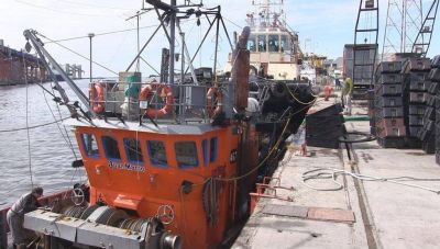 Se abri� la temporada de anchoas y ya comenzaron a arribar las lanchas