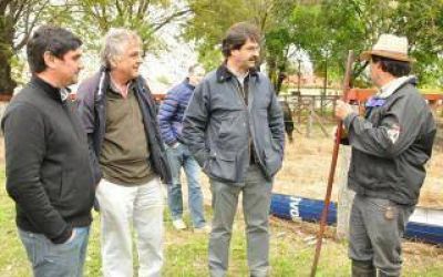 Sarqu�s en 25 de Mayo y Tapalqu�: 