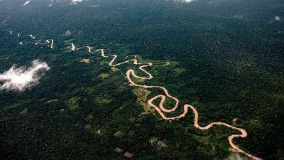 Francisco convoc� un S�nodo de Obispos para la defensa de la Amazonia