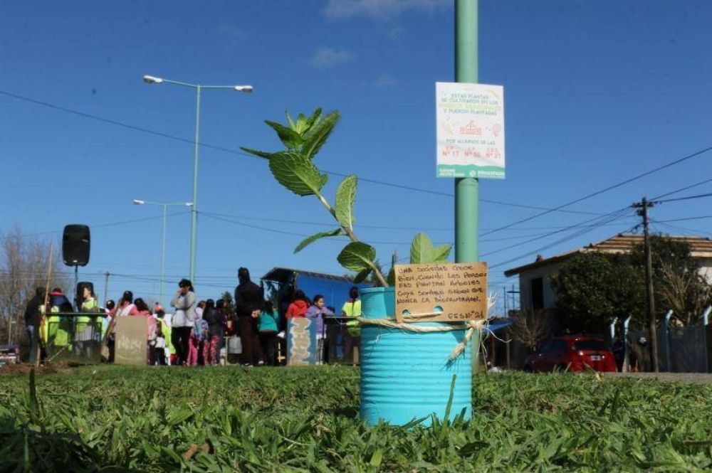 Berazategui avanza con la reforestaci�n de sus espacios p�blicos