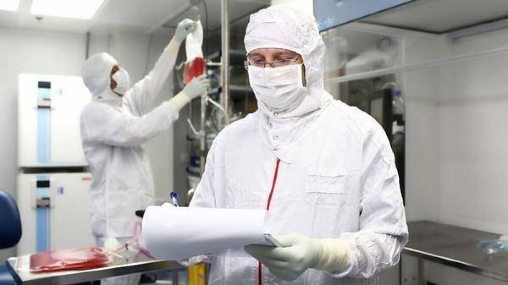 C�mo son los nuevos f�rmacos a base de placenta humana