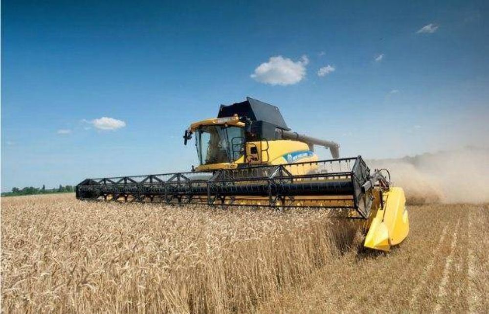 Productores, molestos por subasta a valores de mercado