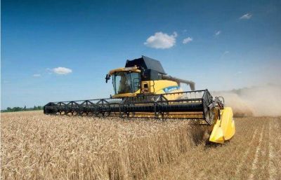 Productores, molestos por subasta a valores de mercado