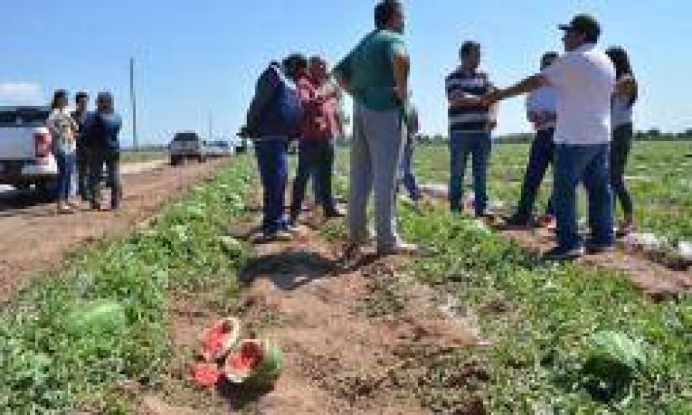 Municipio prometi auxilio a productores afectados por granizo