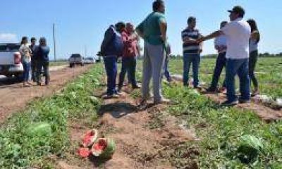 Municipio prometi� auxilio a productores afectados por granizo