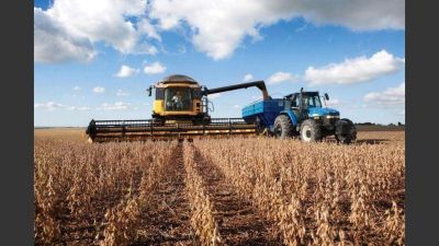 La Sociedad Rural pidi� al Gobierno que bajen los impuestos al campo
