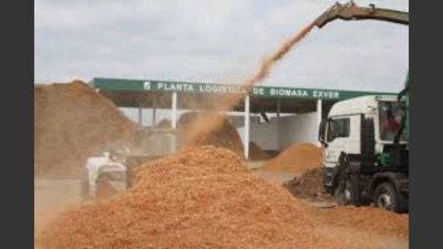 Invertir�n u$s300 millones para construir 10 plantas de biomasa