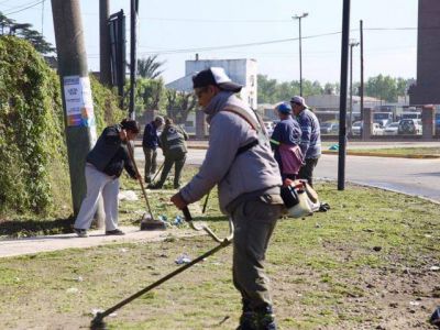 Operativo integral de limpieza