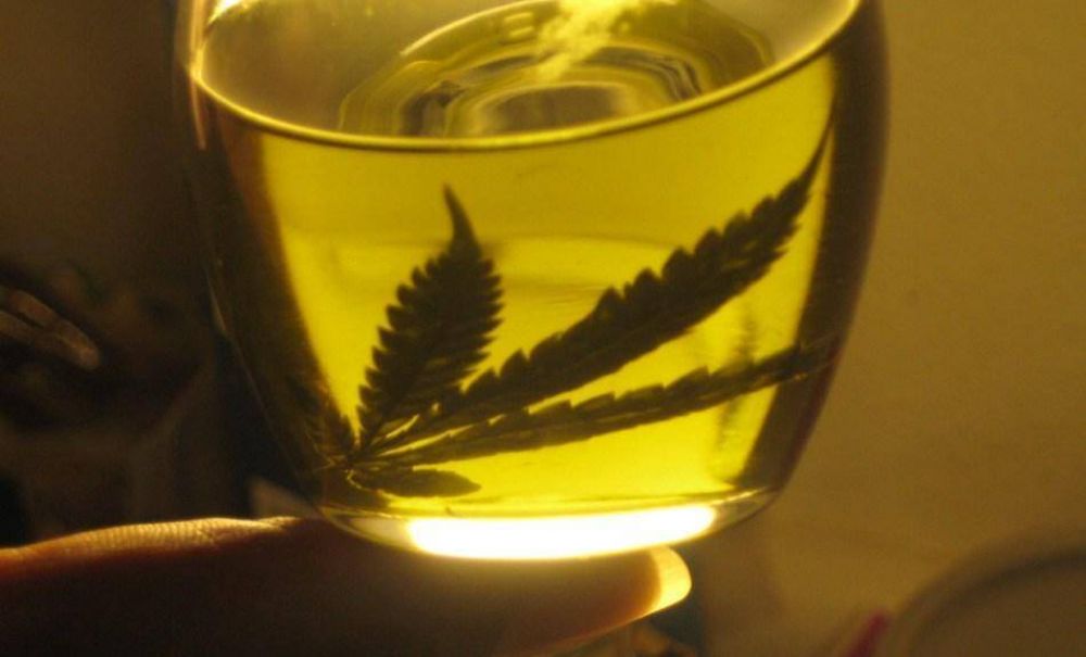 La obra social de empleados pblicos comienza a entregar aceite de cannabis medicinal