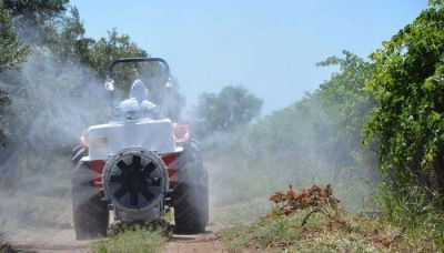 El Gobierno pone a disposici�n maquinaria para aplicar insecticidas