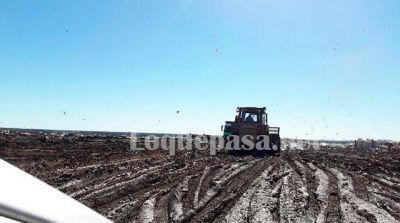 Basural: �Quien vea las condiciones en que trabajan los empleados, deber�a sentir verg�enza�