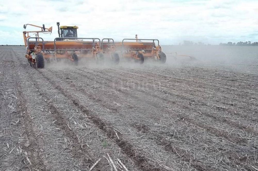 El campo deber� gastar $ 10.850 millones m�s que en la �ltima campa�a