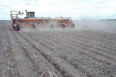El campo deber� gastar $ 10.850 millones m�s que en la �ltima campa�a