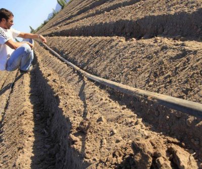 Empresarios del agro unen quejas por el temor a un nuevo aumento de la luz