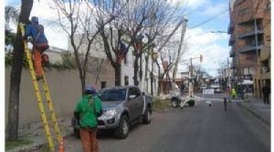 Despidieron a unos 120 trabajadores del Municipio