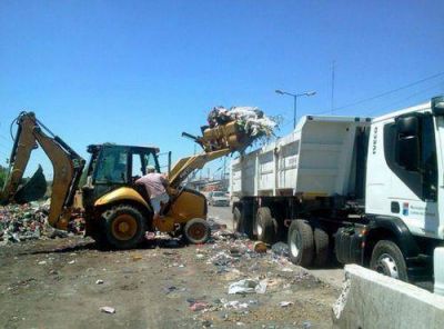 Plantan �rboles en espacios p�blicos y controlan que no arrojen residuos