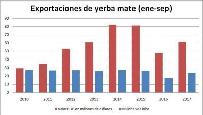 Exportaciones de yerba mate aumentaron 28 por ciento en d�lares