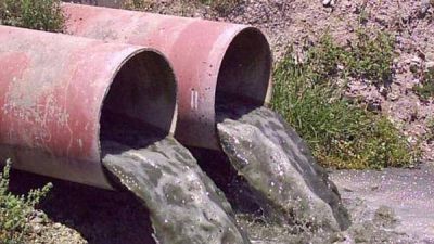 Identifican una bacteria que elimina el cromo de los efluentes industriales