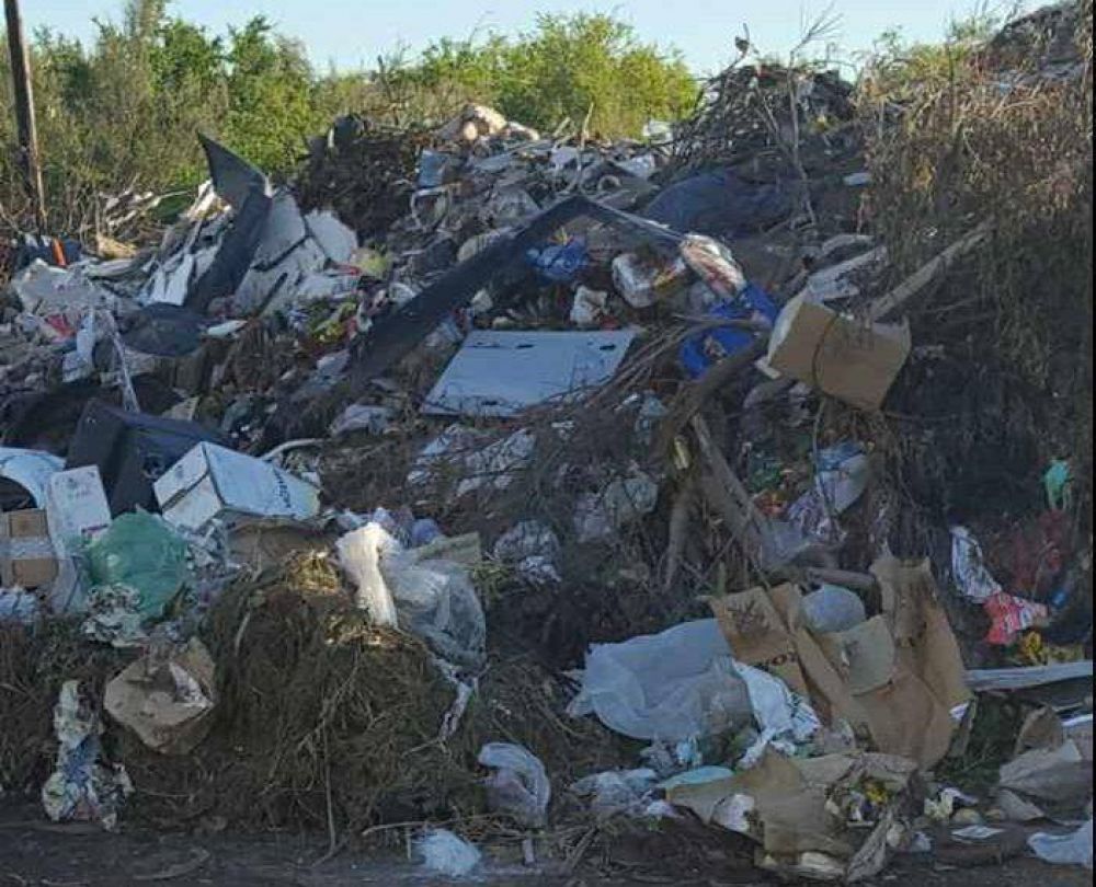 Penas y fuertes multas por arrojar basura