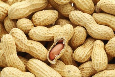 C�rdoba produce y exporta m�s del 90% del man� argentino al mundo