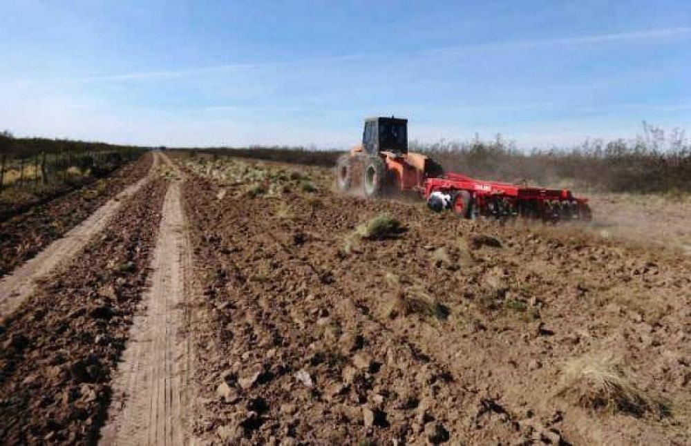 Doce millones para picadas y contrafuegos