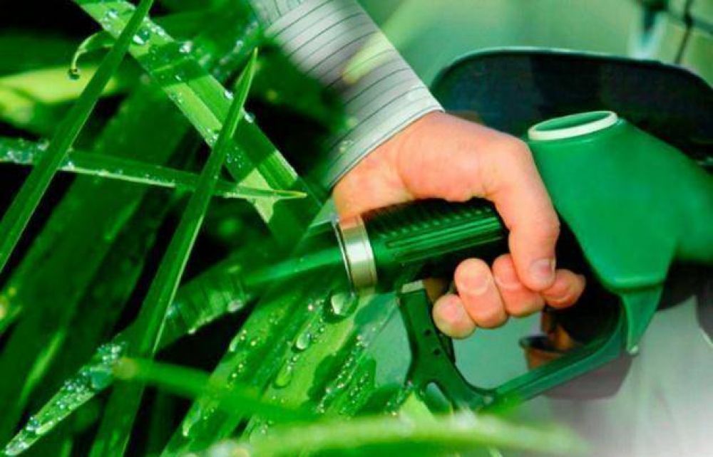Preocupa en C�rdoba la baja en el valor del bioetanol