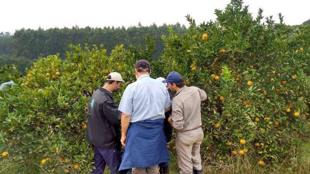TRABAJADORES DEL INTA MISIONES SE MOVILIZAR�N EN POSADAS EN RECHAZO A LOS DESPIDOS