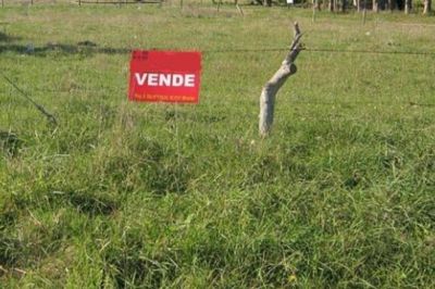Venta fraudulenta de terrenos: La justicia acelera la investigaci�n contra los abogados implicados