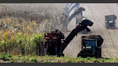Agricultores convierten los residuos en energ�a