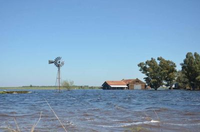 Preocupaci�n en la FAA por vencimientos ante bancos y la Provincia