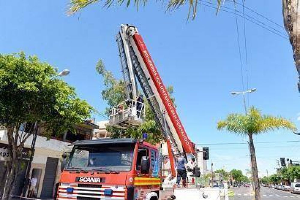 El Municipio interviene preventivamente �rboles antiguos