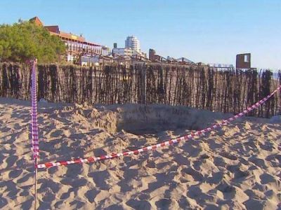 Prueba piloto para recuperar arena, en la costa de Claromec�