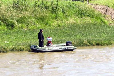 El barig��, la plaga que azota la zona de la Cuenca del Salado