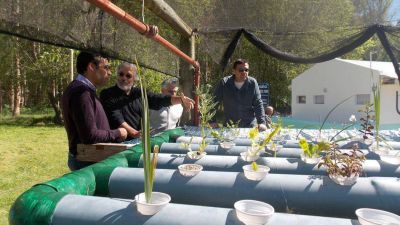 Piscicultura recibi� 300.000 ovas de pejerrey