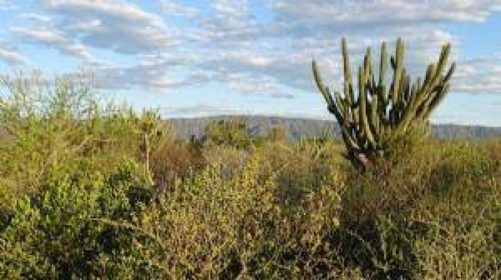 Diputados: C�rdoba m�s cerca de tener un parque nacional en Traslasierra