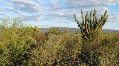 Diputados: C�rdoba m�s cerca de tener un parque nacional en Traslasierra