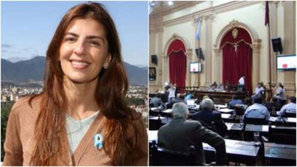  Bettina ratific� al bloque Cambiemos-Pa�s como segunda fuerza en Diputados
