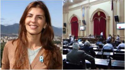  Bettina ratific� al bloque Cambiemos-Pa�s como segunda fuerza en Diputados