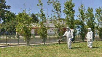 Fumigaci�n contra el dengue en Echeverr�a
