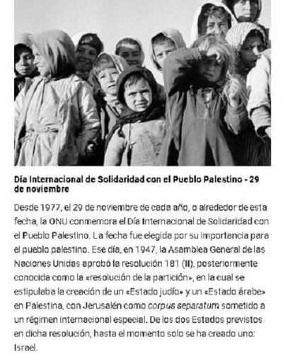 �Qu� pas� el 29 de Noviembre de 1947? Por Alejandro Mellincovsky