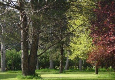 Digap: El proyecto ambientalista para el parque sigue vivo en el HCD