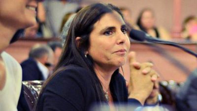 La diputada de Cambiemos dice que no estaf� la compra de un campo	 