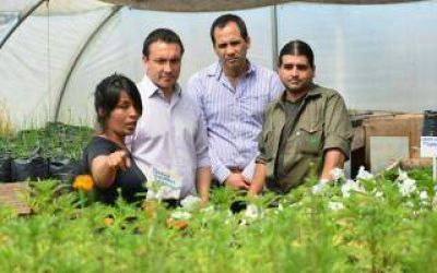 Florencio Varela planea llevar su producci�n de m�s de 7 mil �rboles a 10 mil por a�o