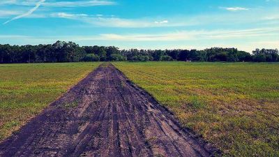 El gobierno entrerriano busca regular por ley los loteos en �reas rurales	 