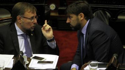 Diputados: el PJ no kirchnerista y los gobernadores definen a su nuevo bloque sin el massismo