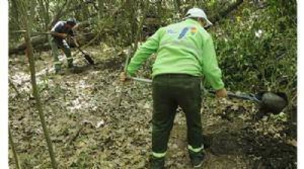 Avanzan las obras en el Parque Central