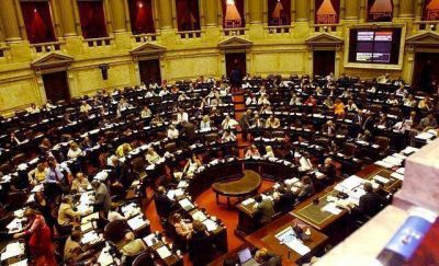 San Juan formar� bloque propio en Diputados