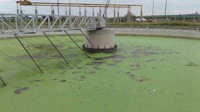 La Municipalidad invertir� 330 millones en la planta de Bajo Grande