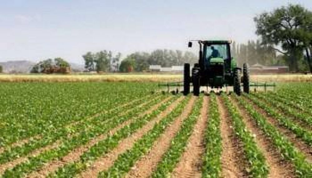 La FAA dio el visto bueno a la eximici�n de Ingresos Brutos para productores con facturaci�n de hasta 19 millones anuales 